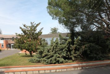 Quand agriculture et innovation se conjuguent