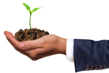 OCSEED, le nouvel outil d’investissement pour le développement des start-ups en Occitanie