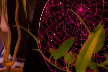 Hudolus illumine votre Saint-Valentin