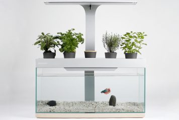 Le Toulousain Nénufarm lance son aquarium-potager autonome