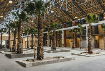 La Semaine de la Mobilité Aérienne Légère, Verte et Durable arrive à Toulouse et Jonzac