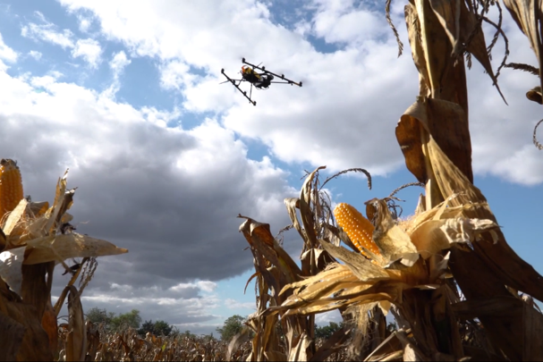 Spatial. Depuis Toulouse, Telespazio accélère la détection des mauvaises graines par drones