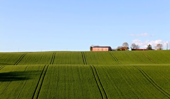 Le déploiement de la fibre optique en Haute-Garonne avance sereinement