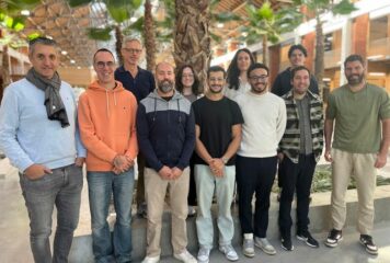 Douze idées neuves sous le soleil de Nubbo