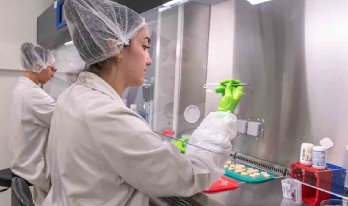 Genoskin, la biotech toulousaine bien dans ses peaux à l’international