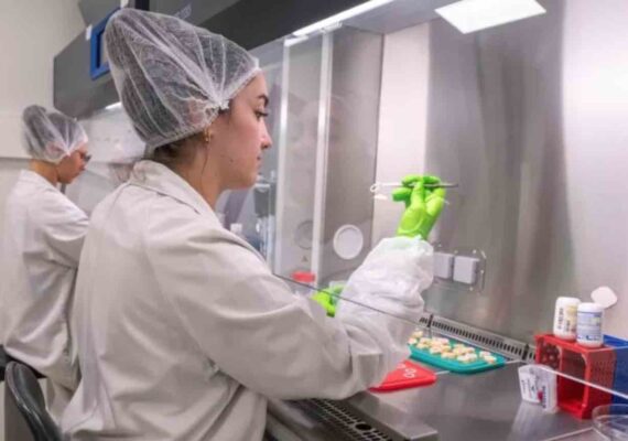 Genoskin, la biotech toulousaine bien dans ses peaux à l’international