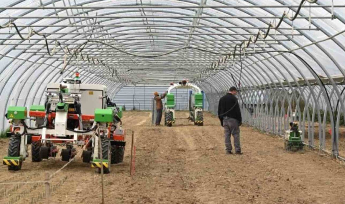 En redressement judiciaire, Naïo Technologies a trouvé un repreneur