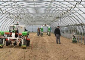 En redressement judiciaire, Naïo Technologies a trouvé un repreneur